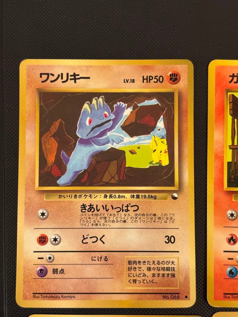 旧裏　準美品　こみやトモカズ　ガーディ　サイドン　ドガース　ドードー　拡張シート