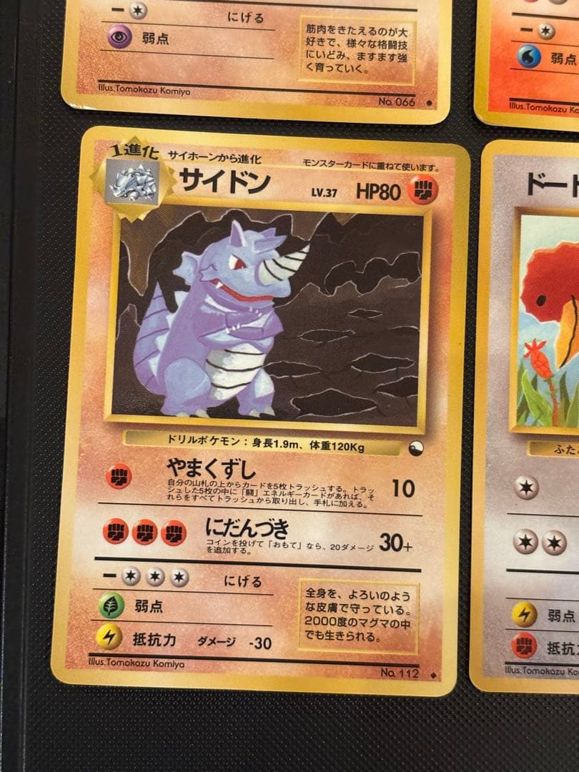 旧裏　準美品　こみやトモカズ　ガーディ　サイドン　ドガース　ドードー　拡張シート