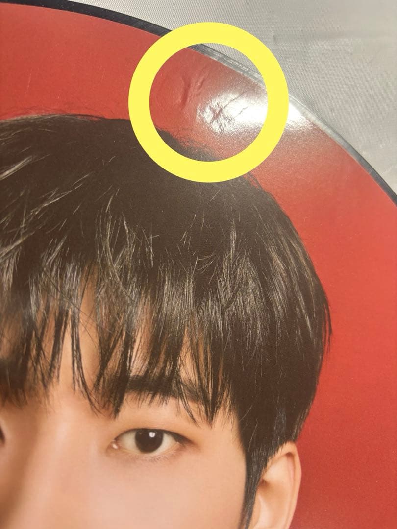 SEVENTEEN ウォヌ うちわ power of love