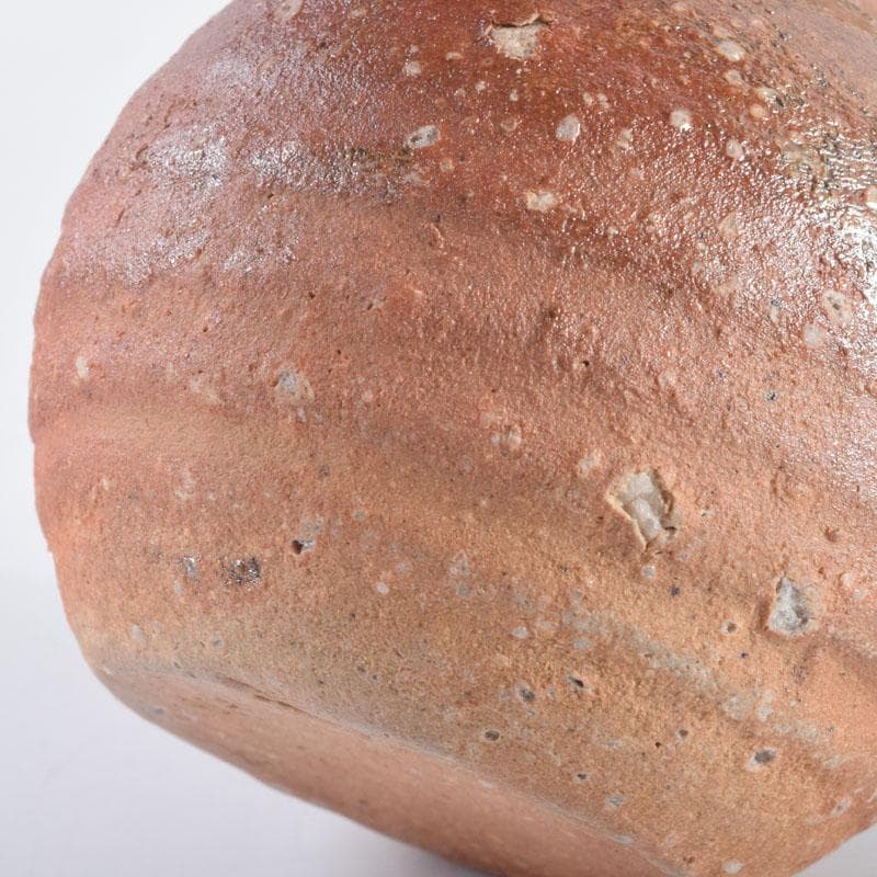 茶道具　信楽焼　上田寿方作　茶入　仕覆付　共箱　V　8952