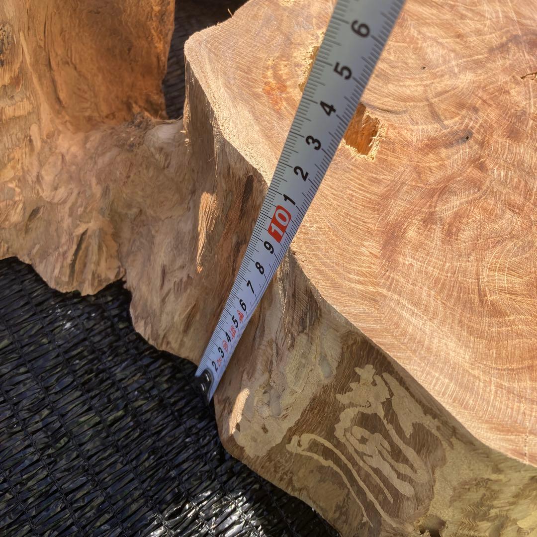 ①*ஐ一枚板！！インテリアディスプレイやテーブルにも*ஐ【輪切り・丸太・切り株】