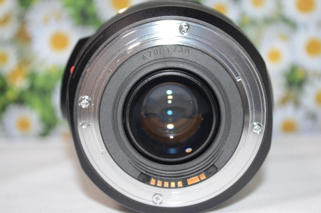 美品❤Canon EF 75-300mm IS USM❤フルサイズでも！❤超望遠