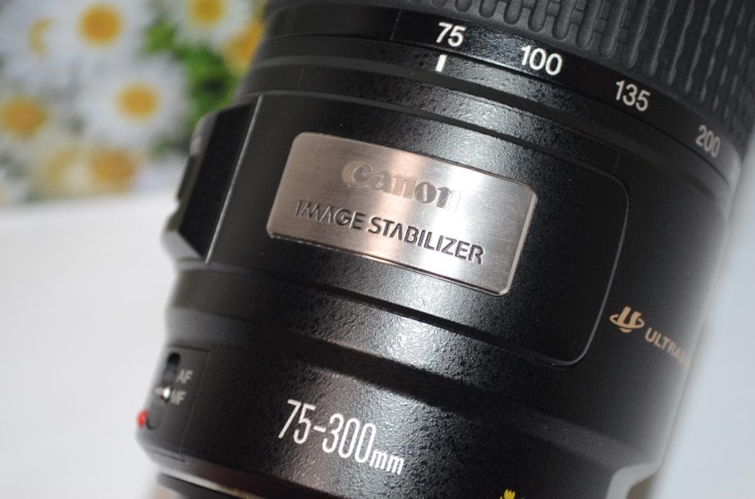 美品❤Canon EF 75-300mm IS USM❤フルサイズでも！❤超望遠