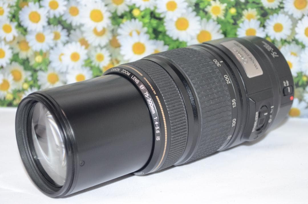 美品❤Canon EF 75-300mm IS USM❤フルサイズでも！❤超望遠