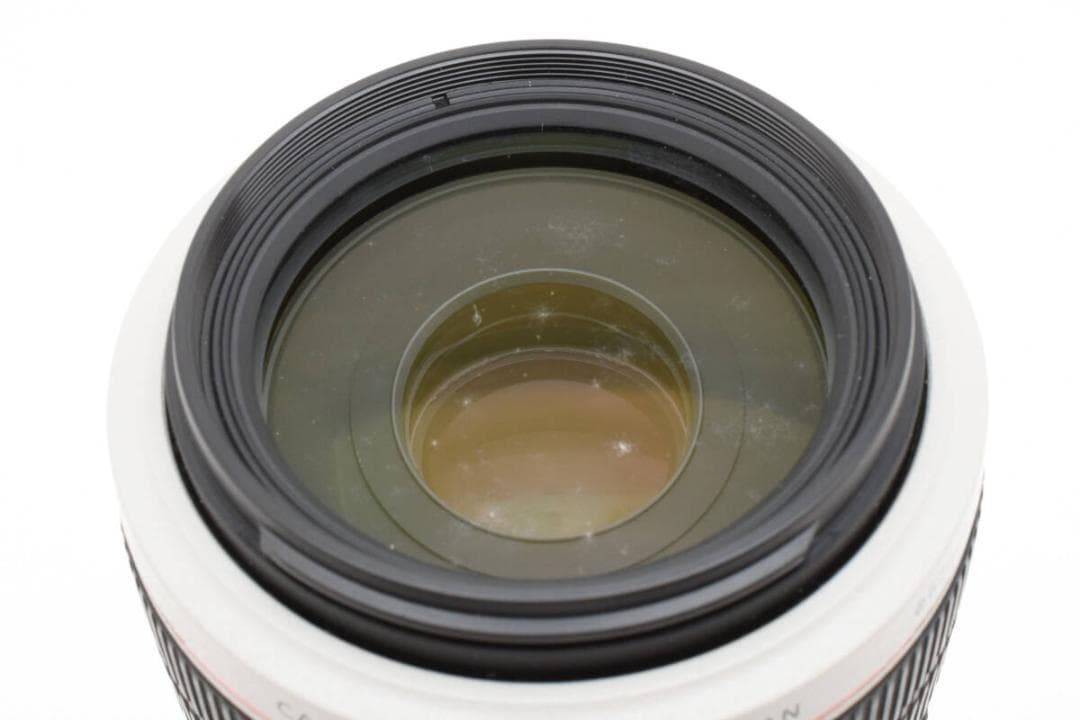 キヤノン CANON EF 70-300mm F4-5.6 L IS USM