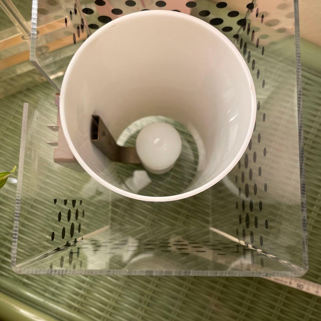 【美品】松下電器　照明　昭和レトロ　水玉　ドット　壁ライト　壁　シーリングライト