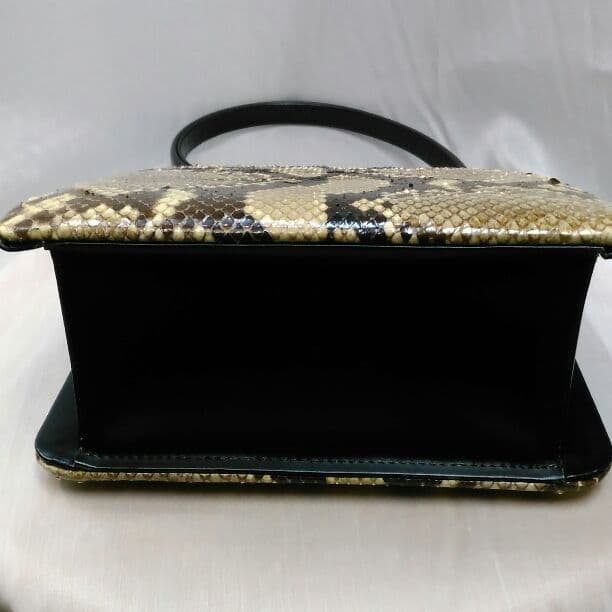 ニシキヘビのバック