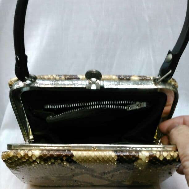 ニシキヘビのバック