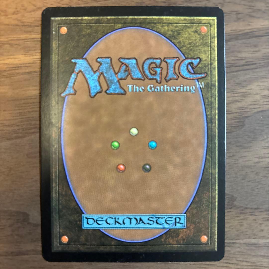 mtg 霧深い雨林　ZEN foil