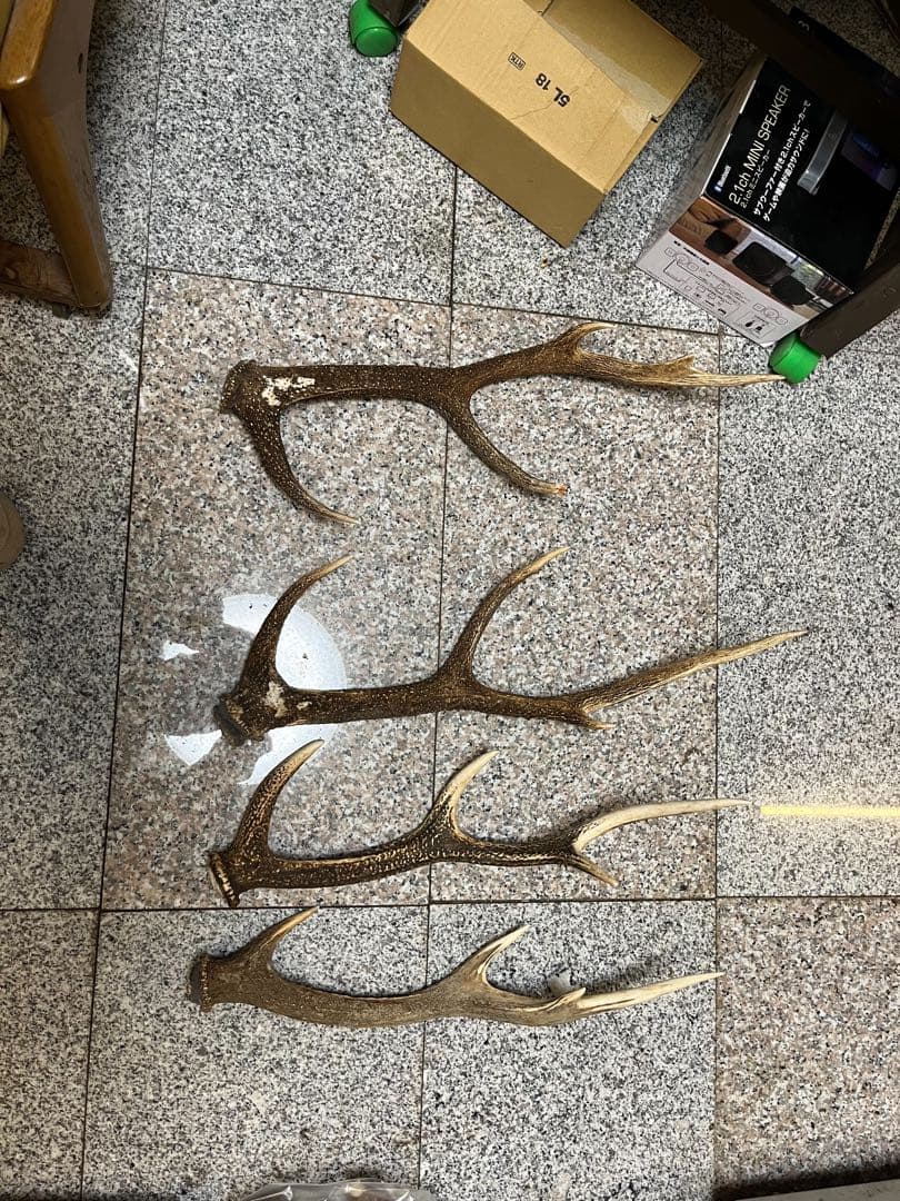 鹿の角 4本セット