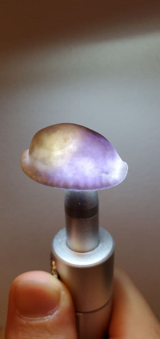 糸魚川翡翠 ラベンダー タカラガイ