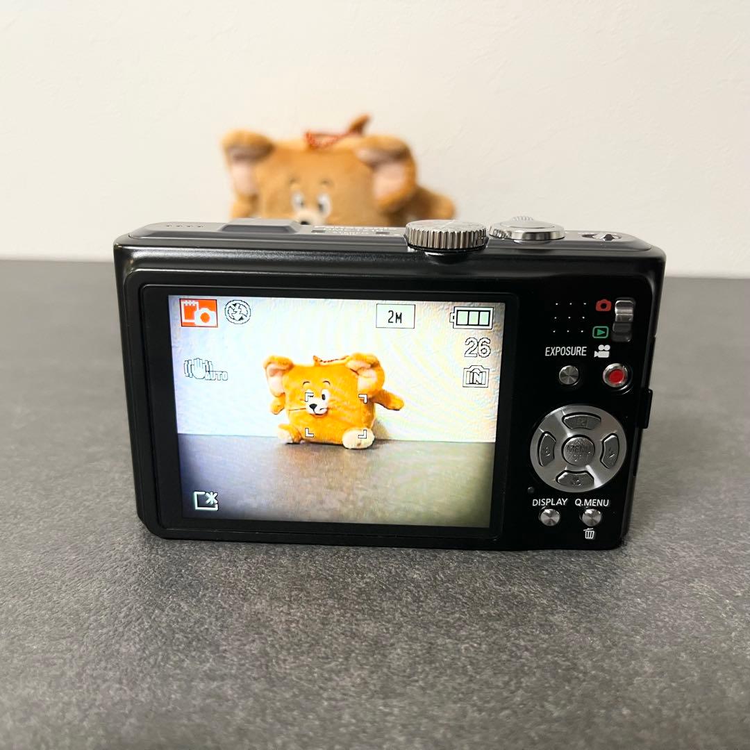 【極美品】Panasonic DMC-TZ10デジカメ　動作確認済　初心者