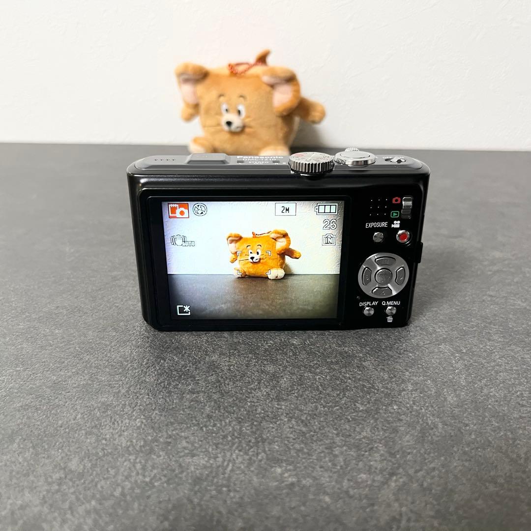【極美品】Panasonic DMC-TZ10デジカメ　動作確認済　初心者
