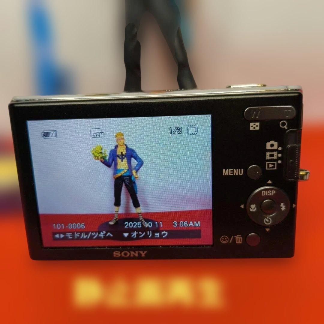 【動作確認済】SONY ソニー Cyber-shot DSC-W190 コンデジ