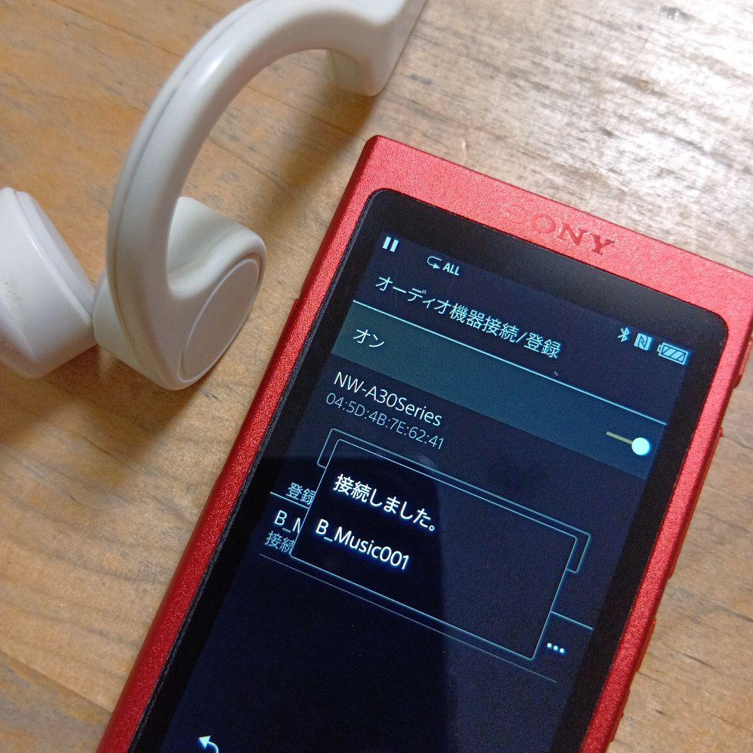 p*u様 SONYウォークマンNW-A35　16GB