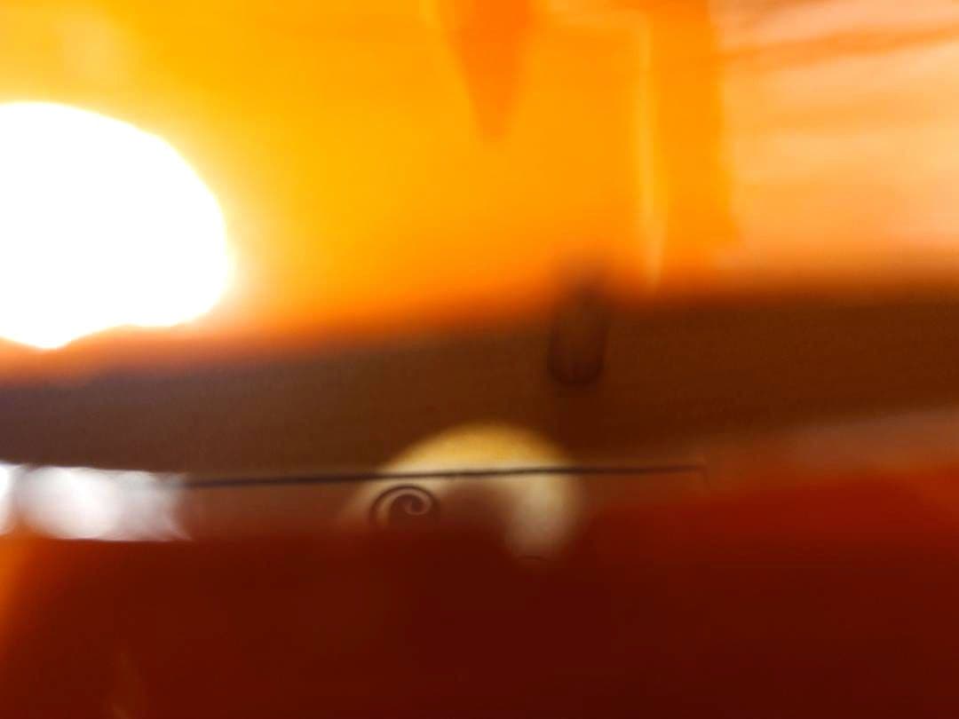 【左利き用】バイオリン 4/4 大人用 CECILIO CVN-320L