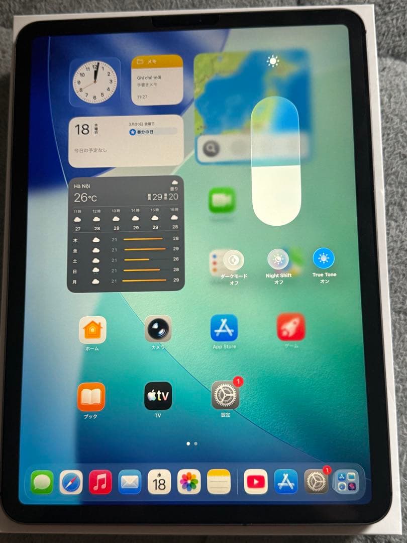 iPad Pro 第2世代 11インチ256GB Wi-Fi+Cellular