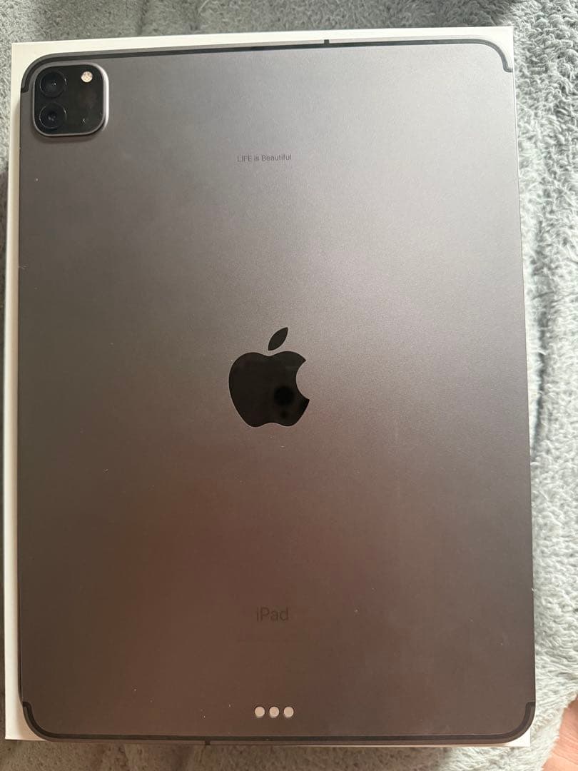 iPad Pro 第2世代 11インチ256GB Wi-Fi+Cellular