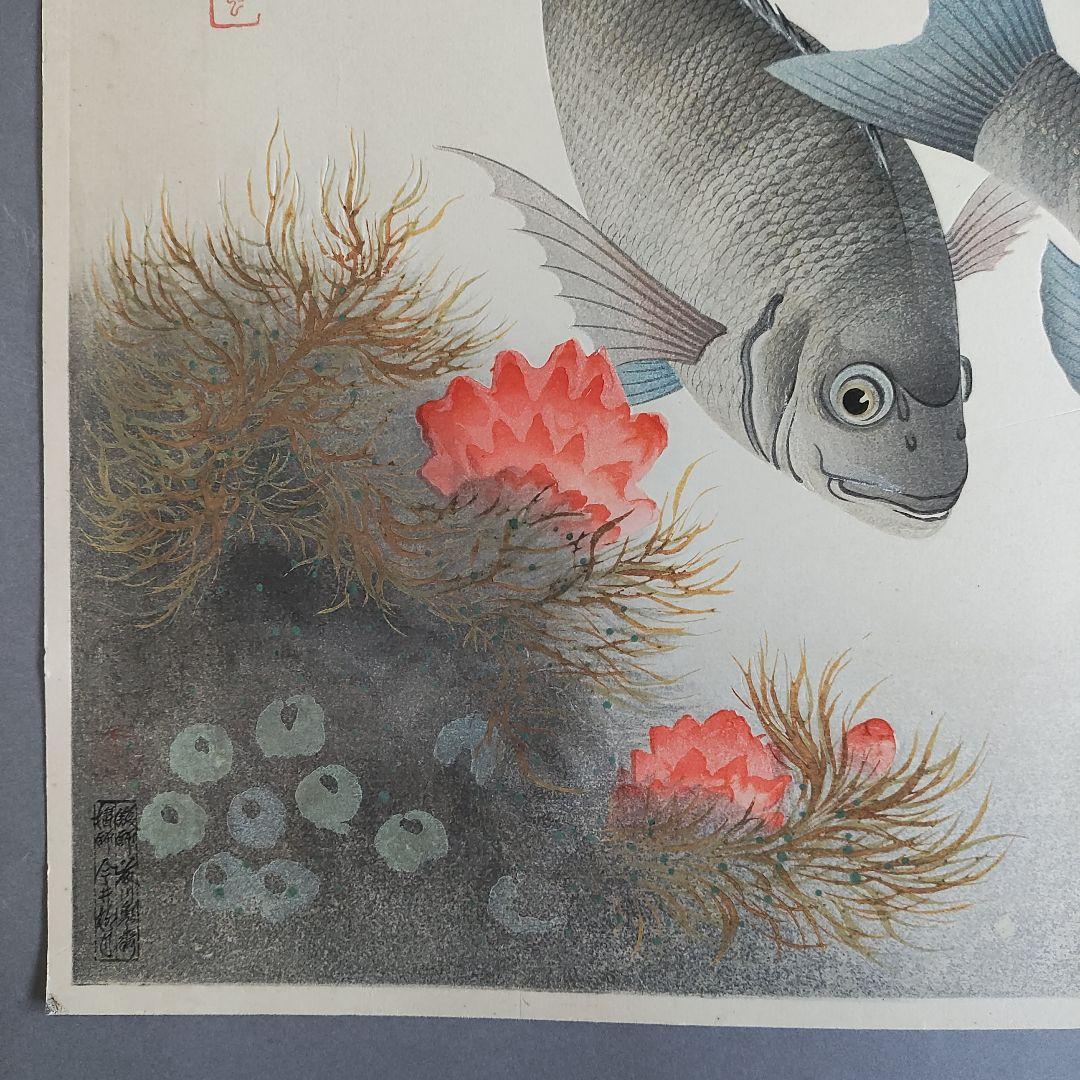 大野麦風　木版画「クロダイ」 大日本魚類画集　 新版画