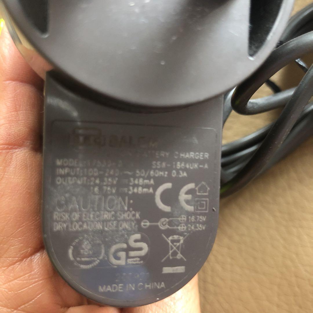 ダイソン DC31 Animal