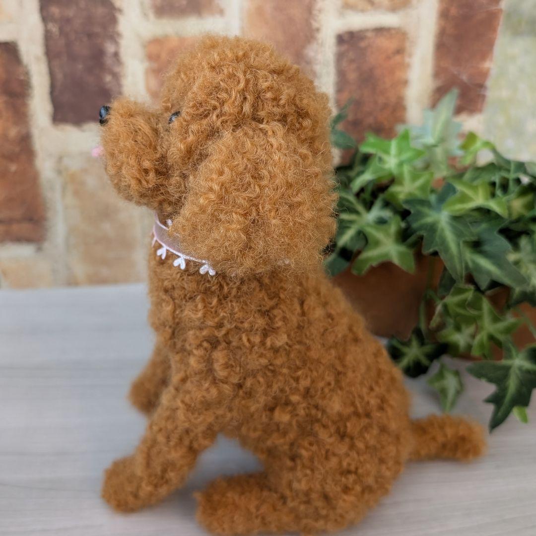 トイプードル♡大きいサイズ