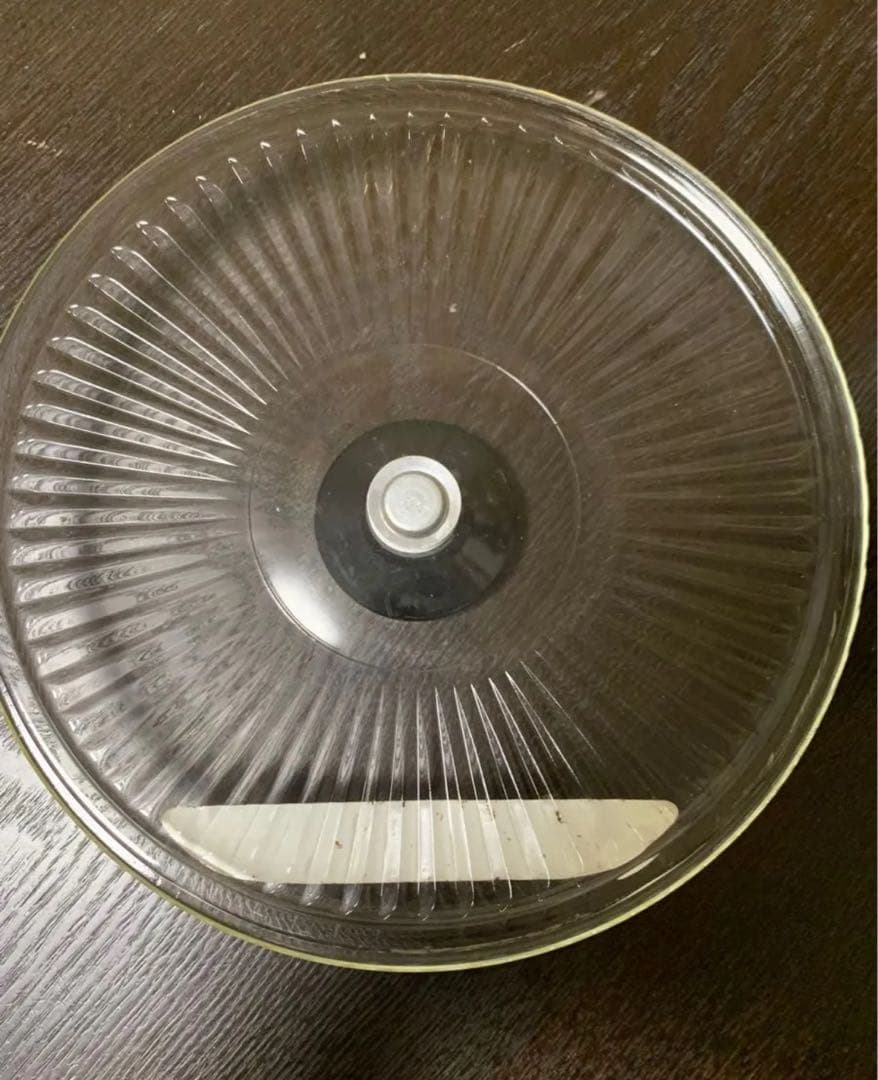 未使用　エヴェレスト　ホーロー　両手鍋　ENAMELWEAR　蓋ガラス　20cm