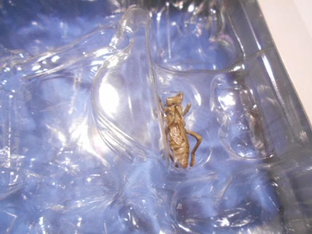 原色日本昆虫図鑑Ⅰ・Ⅱ 箱 フィギュア 6点付 YUJIN