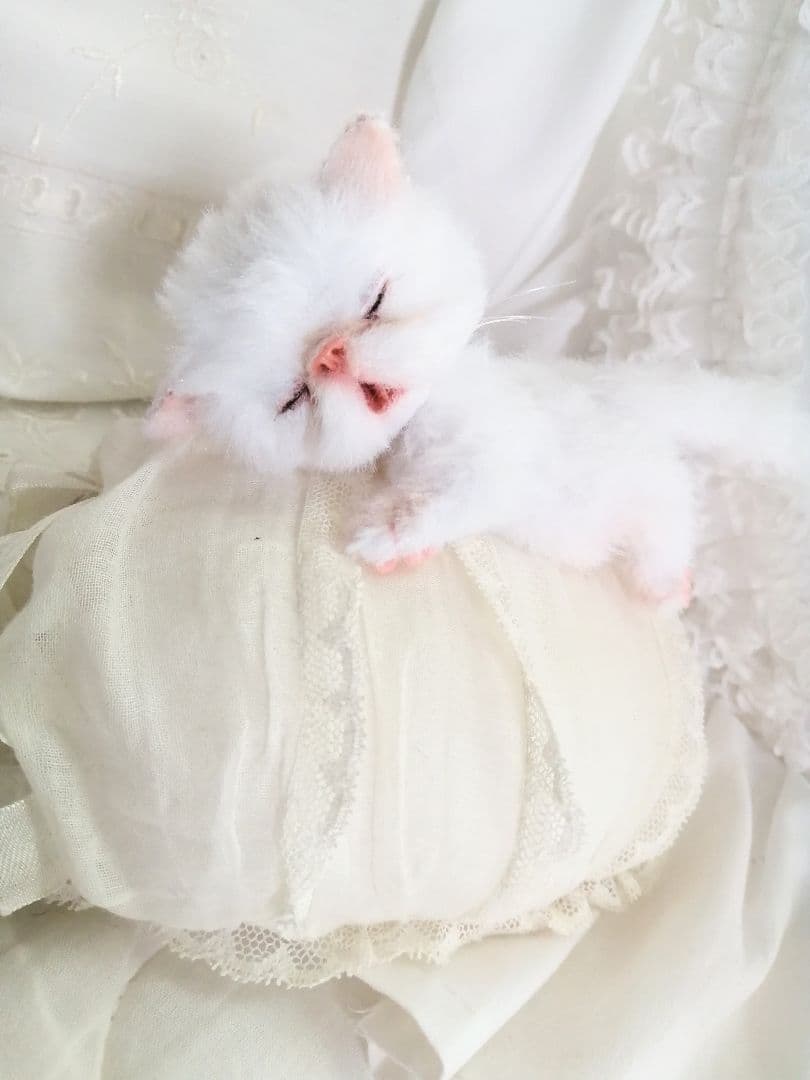 ちっちゃなおねむちゃん♡エキゾチックベビー♡子猫♡アートドール♡ぬいぐるみ♡