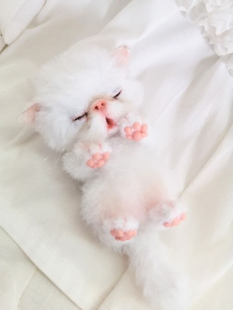 ちっちゃなおねむちゃん♡エキゾチックベビー♡子猫♡アートドール♡ぬいぐるみ♡