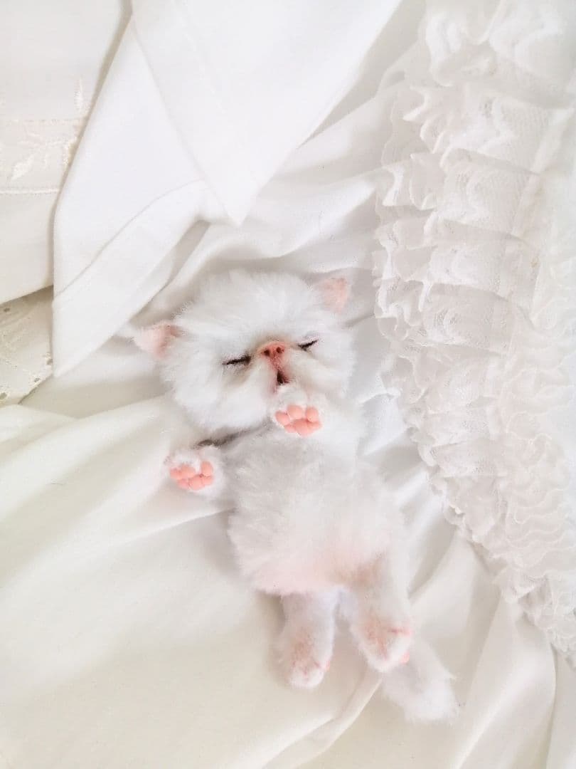 ちっちゃなおねむちゃん♡エキゾチックベビー♡子猫♡アートドール♡ぬいぐるみ♡