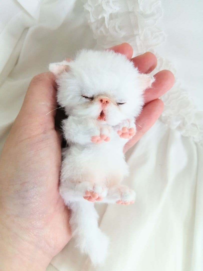 ちっちゃなおねむちゃん♡エキゾチックベビー♡子猫♡アートドール♡ぬいぐるみ♡