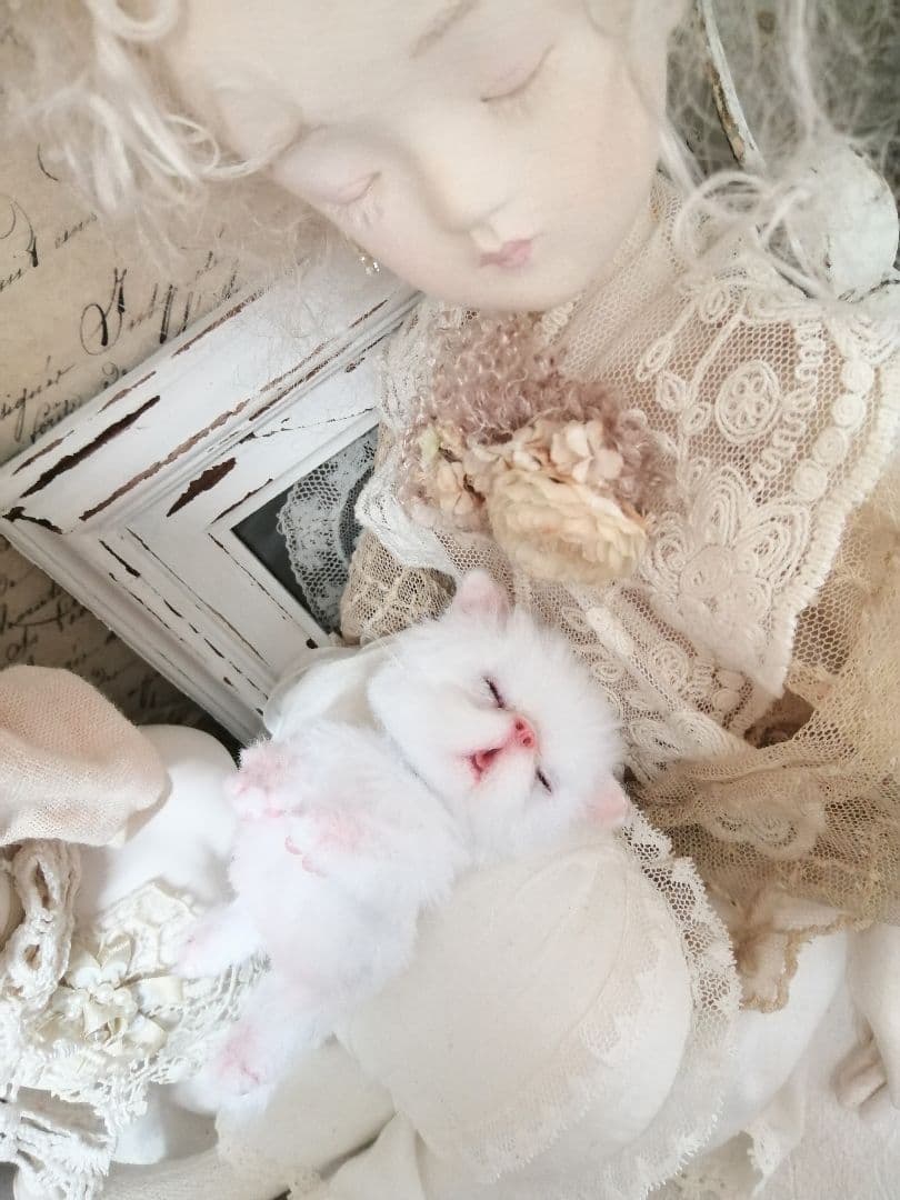 ちっちゃなおねむちゃん♡エキゾチックベビー♡子猫♡アートドール♡ぬいぐるみ♡