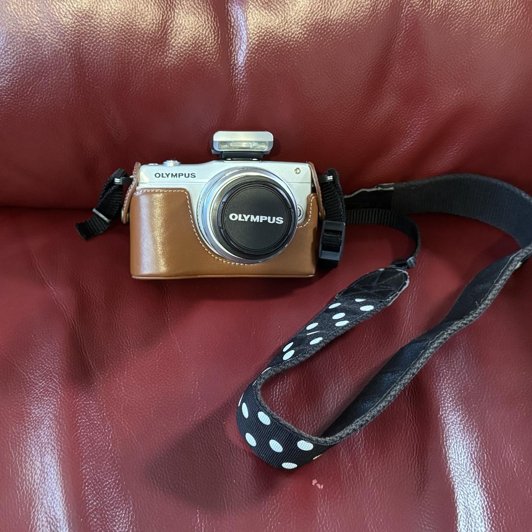 OLYMPUS PEN mini E-PM2 ダブルズームキット 一眼レフ