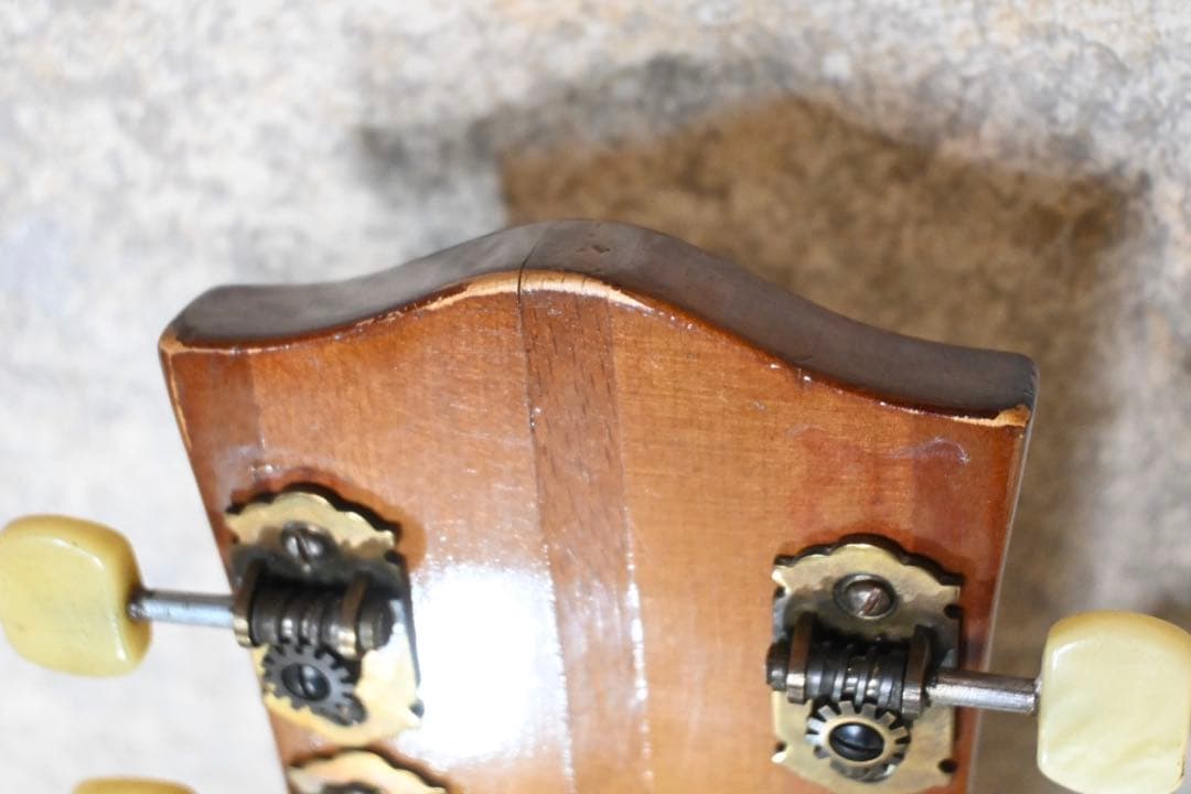 【50s Vintage】Hofner 455 アーチトップ ヘフナー ドイツ製