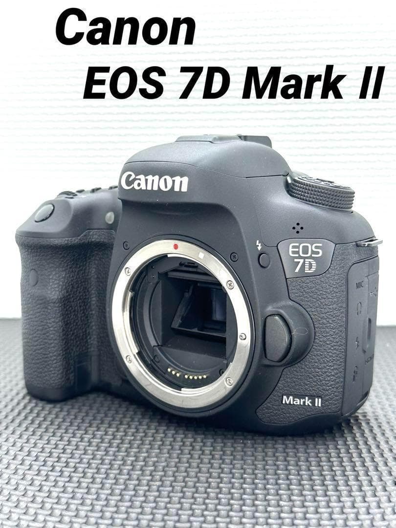 a36★早い者勝ち★Canon EOS 7D MarkⅡ おまけレンズ付き