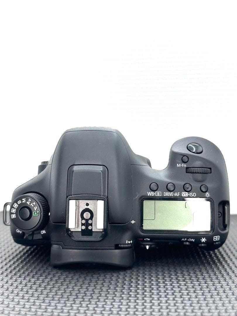 a36★早い者勝ち★Canon EOS 7D MarkⅡ おまけレンズ付き