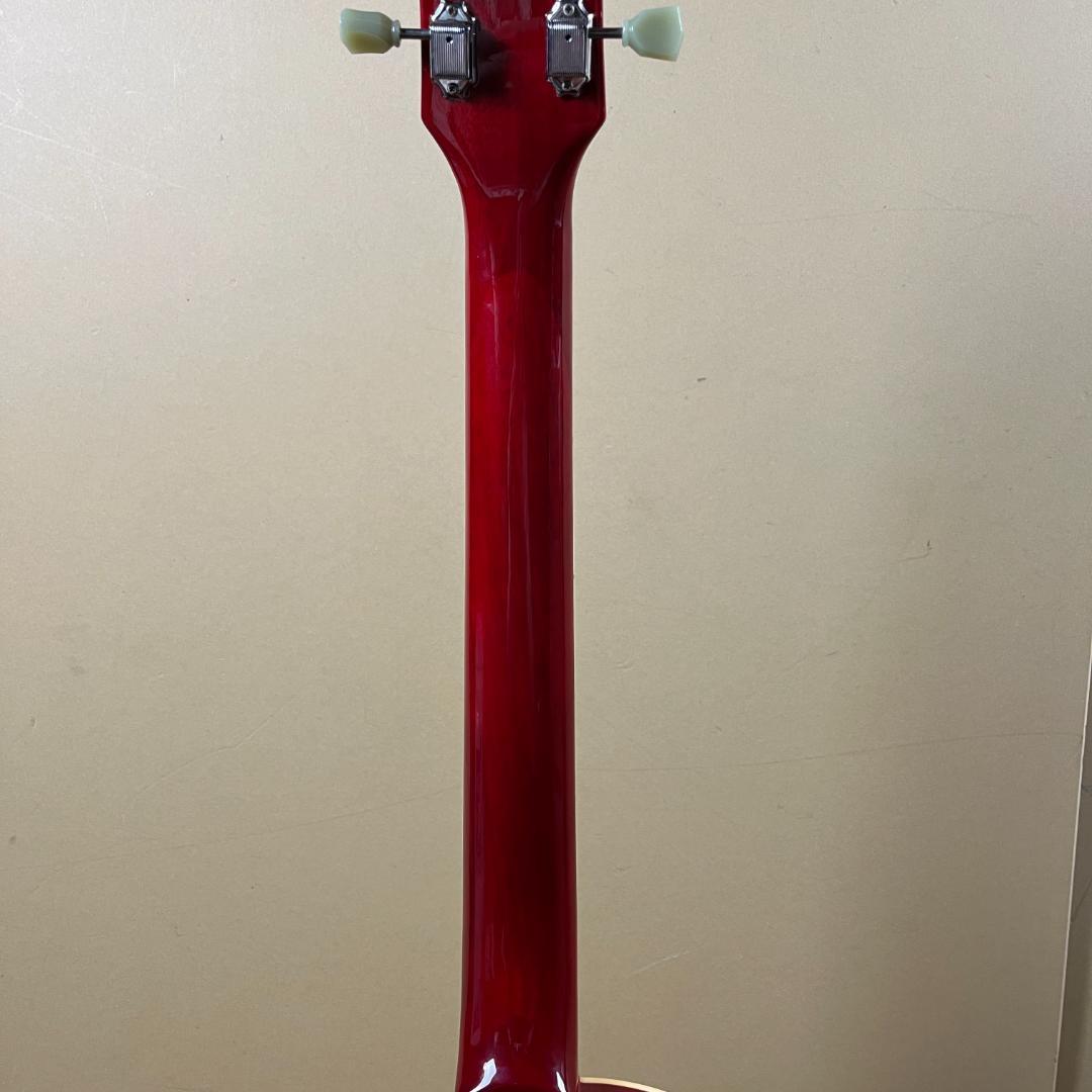 Gather エレキギター レスポールタイプ