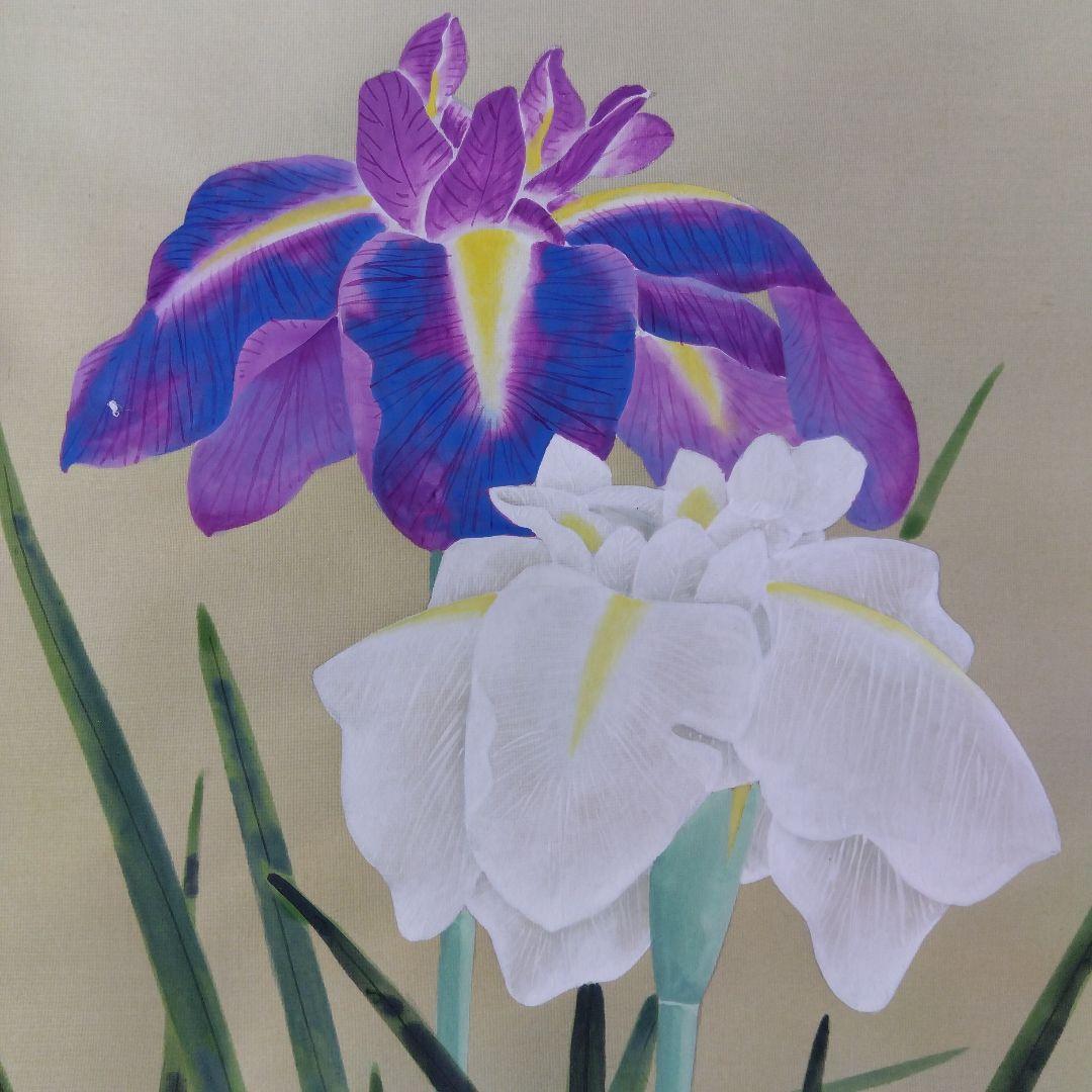 掛け軸　菖蒲　坂本楽山人　四季花