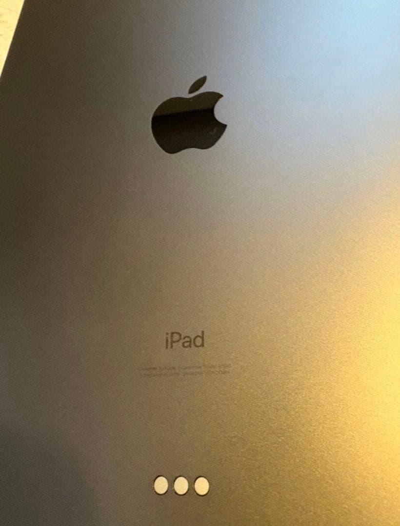 iPad Pro 11インチ 512GB shige