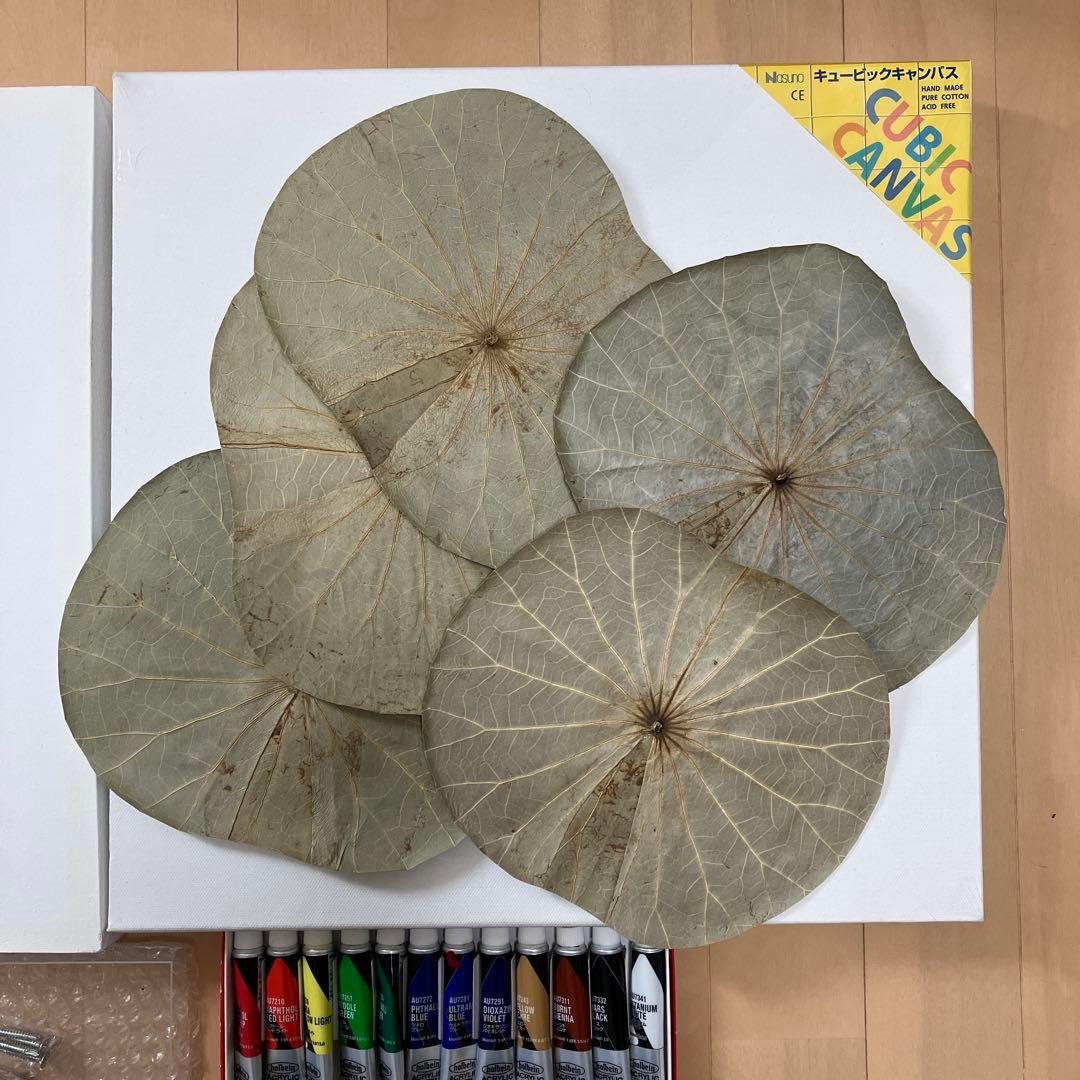 値下ボタニーペインティング制作セット（キャンバス・絵具・蓮の葉8枚）