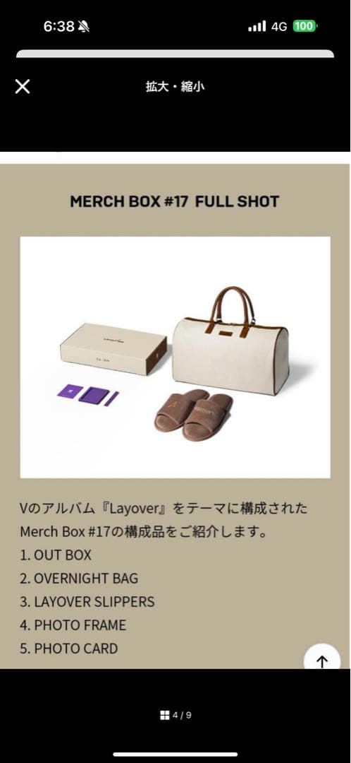 BTS Merch Box #17 V Layover マーチボックス17
