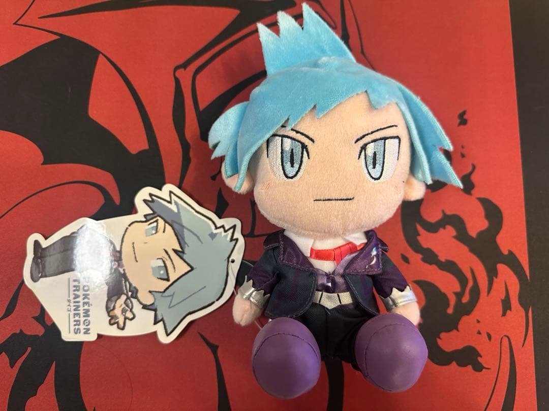 【タグ付き】【ポケモン】 シロナ ダイゴ ぬいぐるみ2体セット