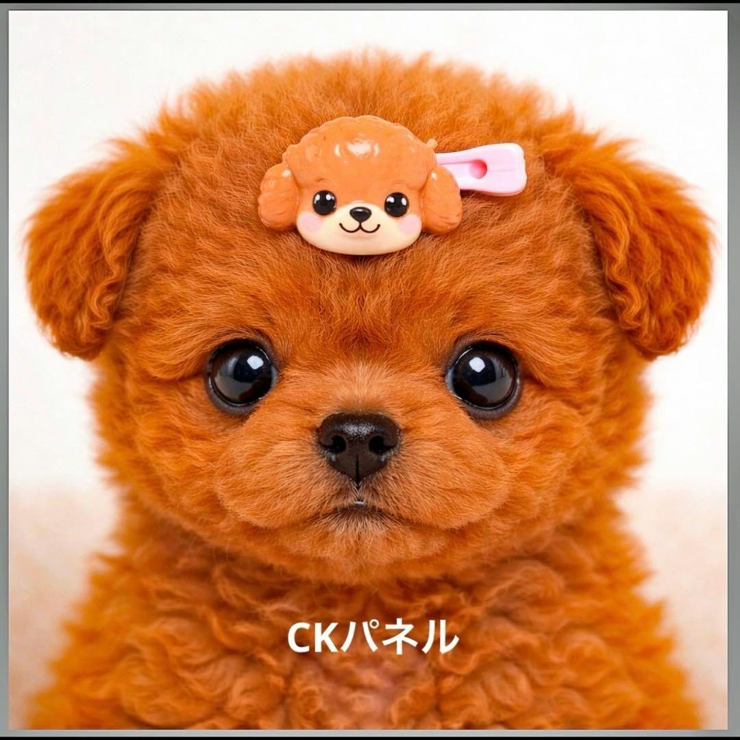 激レア柴犬、チワワ、トイプー、ポメラニアン、パグ、しーずパネル生地