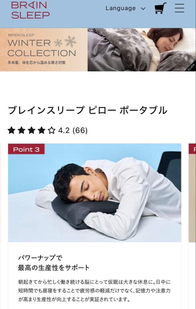 ブレインスリープ　ポータブル枕　ネックピロー　カバー付き