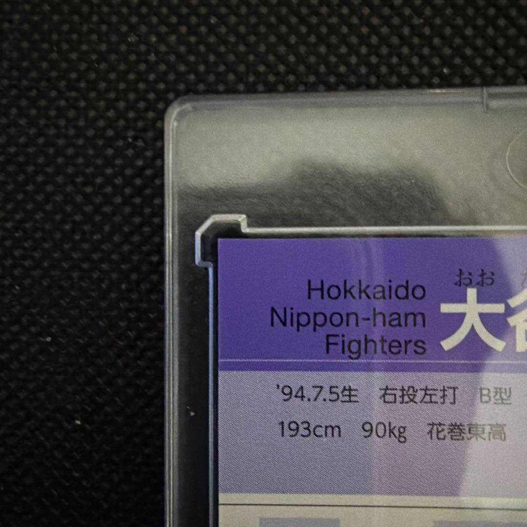 シーザー