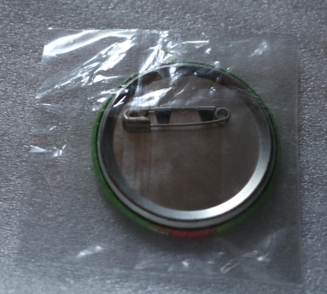 d➕デジモンアドベンチャー➕　太刀川ミミ　缶バッジ