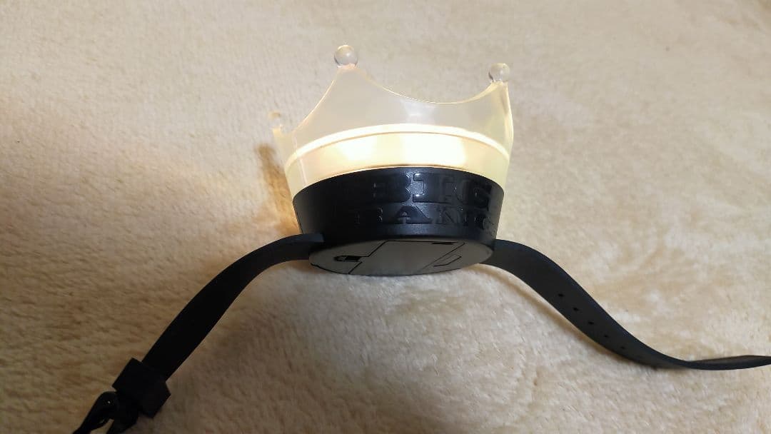 BIGBANG １０周年記念限定ペンライト セット　日本限定