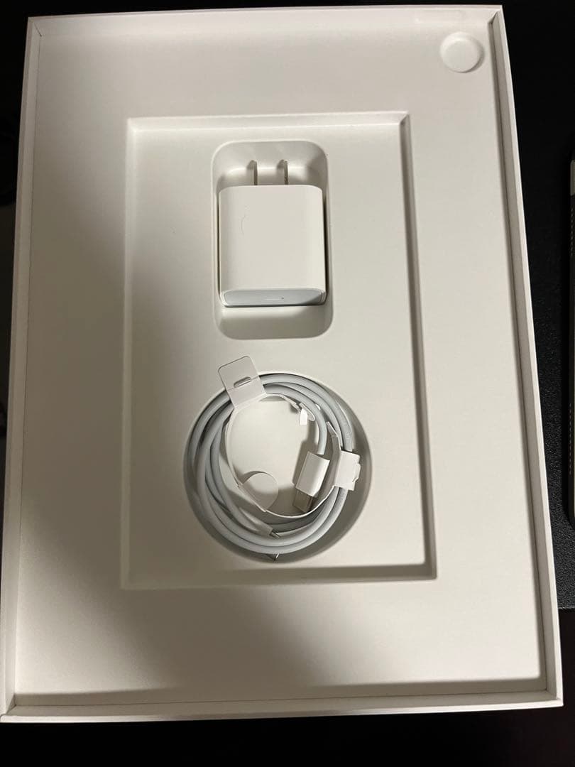 iPad Air 第5世代 Apple pencil ケース付き