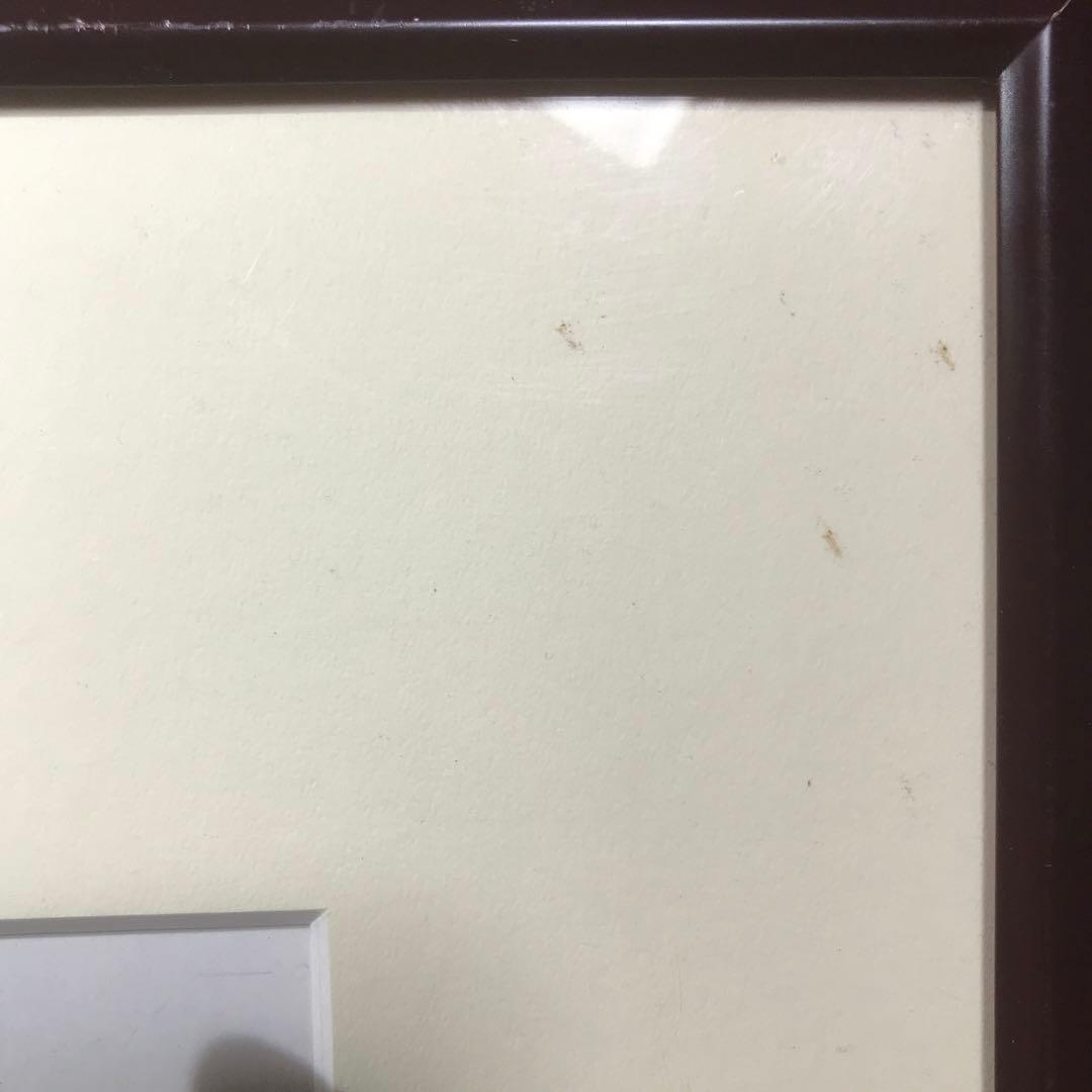 鈴木信也　猫の絵　肉筆画