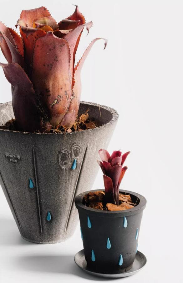 N0281 ciireals 手づくり 高品質 素焼鉢 植木鉢 通気デザイン抜群